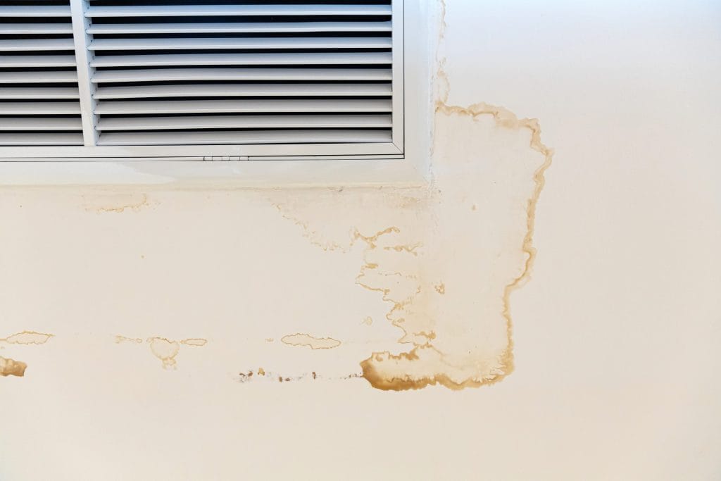 mold on wall